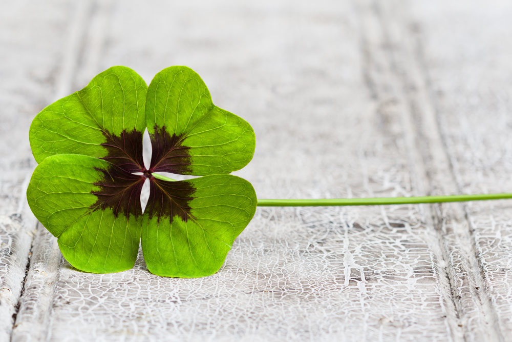 Engellehre - Kleeblatt