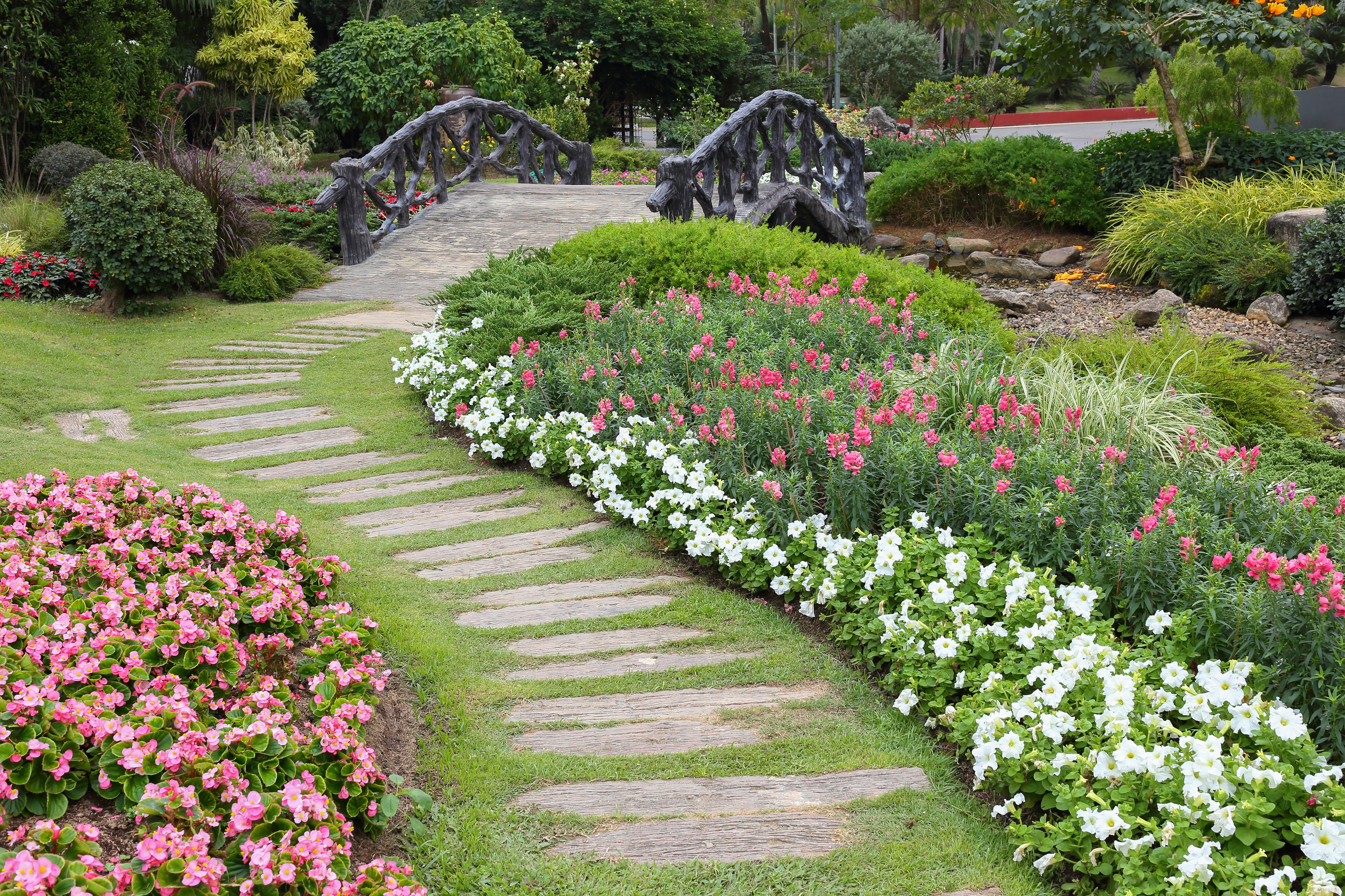 landscape of floral gardening with pathway and bridge in garden