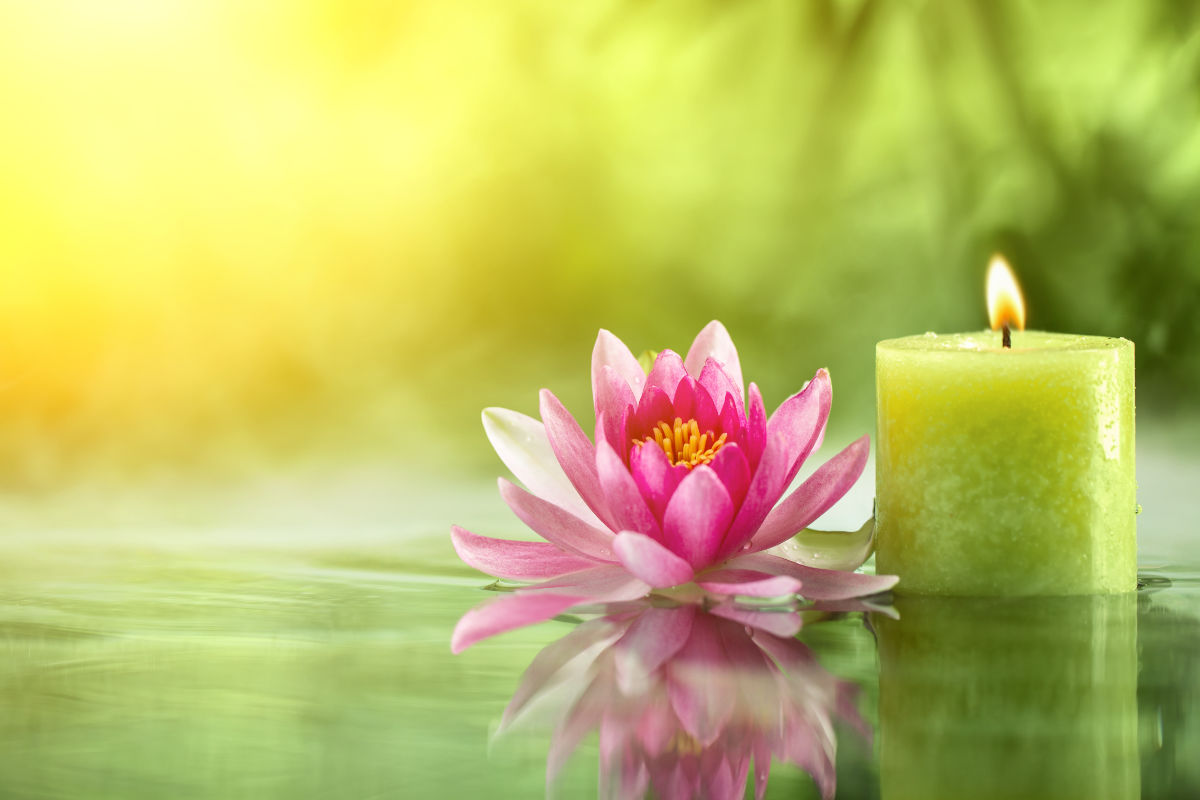 Burning candle and water lily in water.