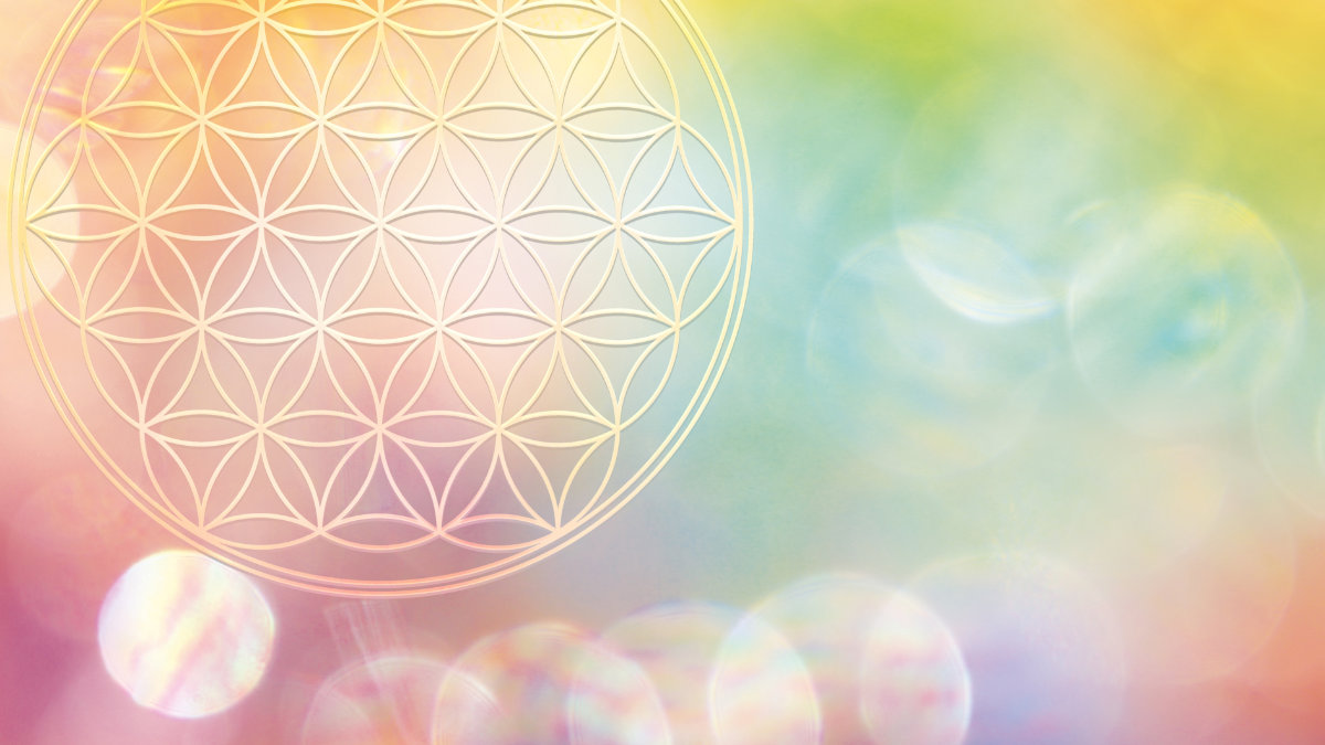 Banner Blume des Lebens in vitaler, schöpferischer Energie